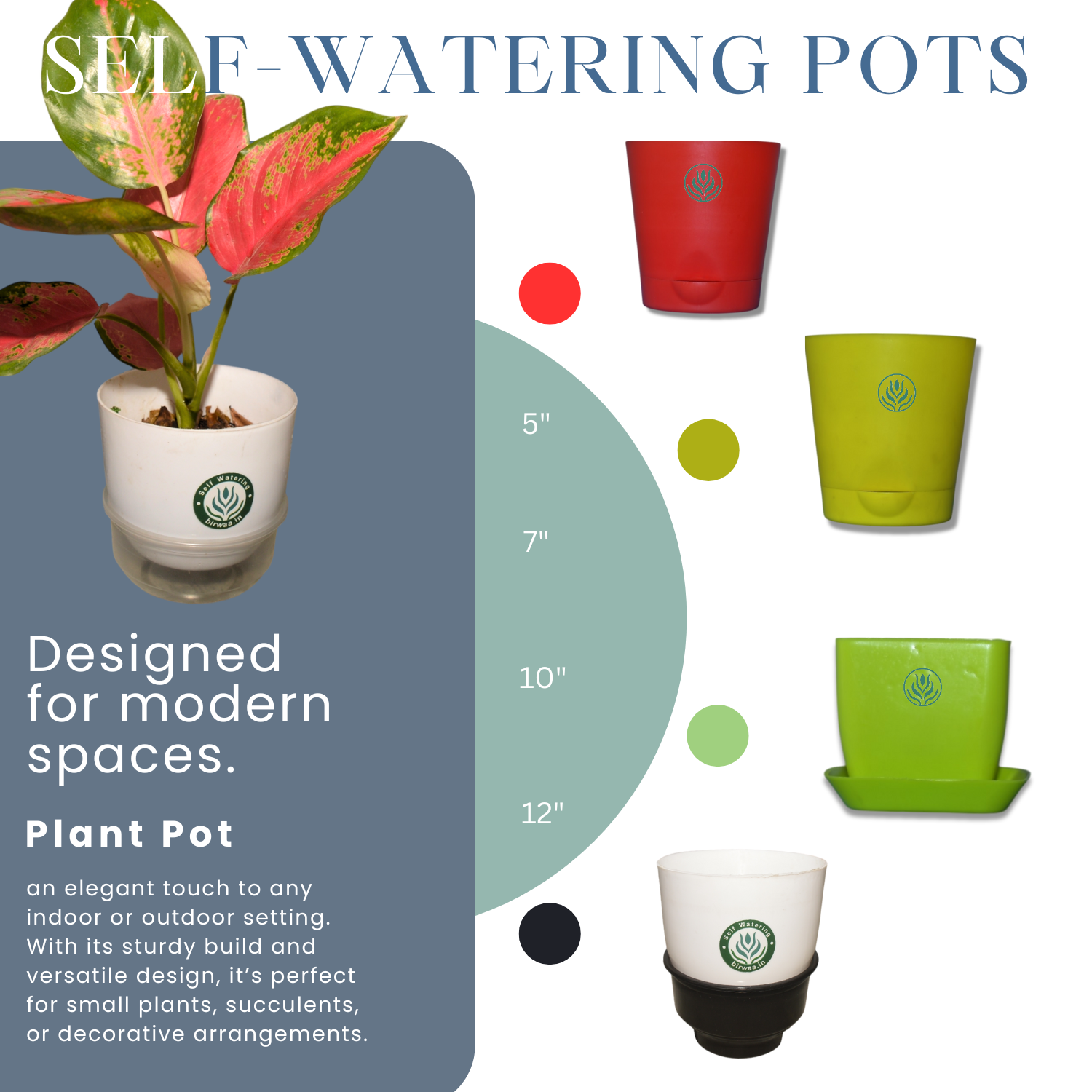 Self-Watering Pots