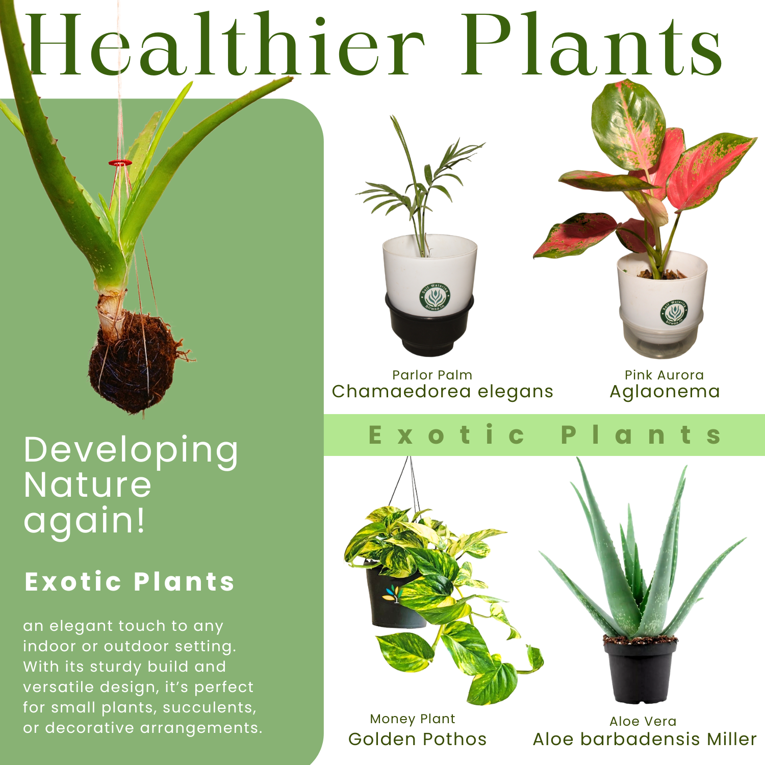 Healthier Plants