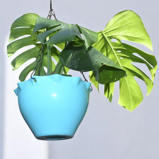 Birwaa Premium Hanging Pot - Elegant Indoor/Outdoor Planter