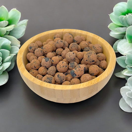 LECA Balls - Premium Nursery Supply