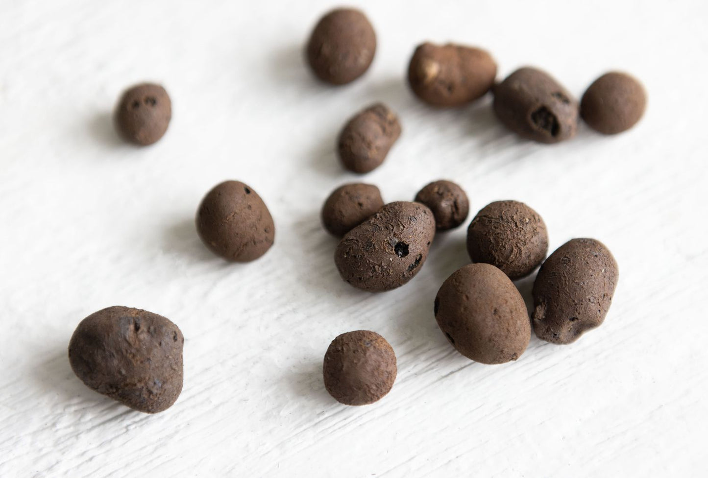 LECA Balls - Premium Nursery Supply